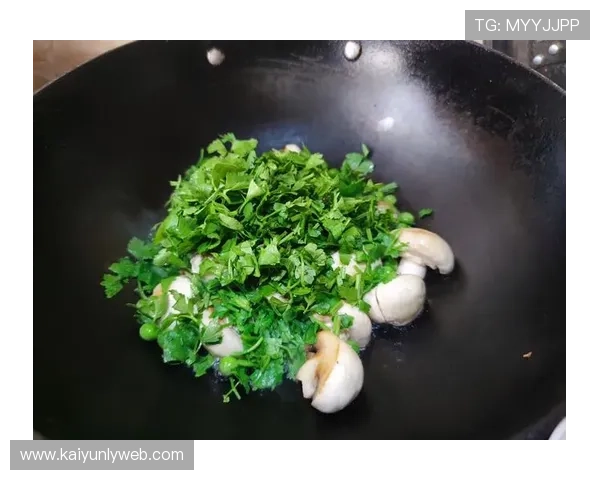 开运食谱：提升你运势的美味饮食建议与选择