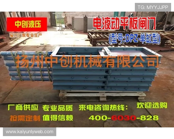 探秘开云体育地址登录入口如何保障用户的登录体验