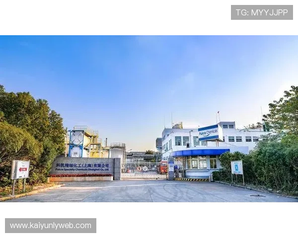 上海开云投资集团有限公司在中国市场的投资项目及其对地方经济的带动作用